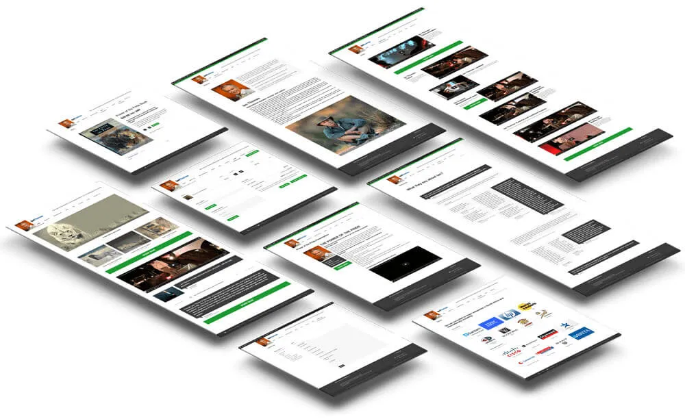 Professional website design and branding services