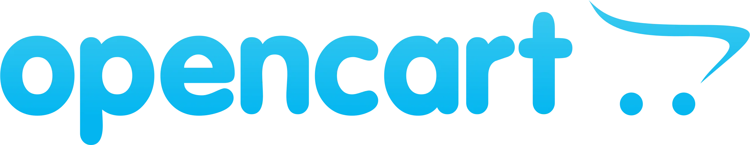 Website platform partner logo 1